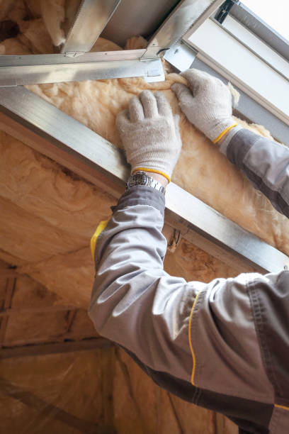 Best Insulation for Specific Applications in Sutton Alpine, AK