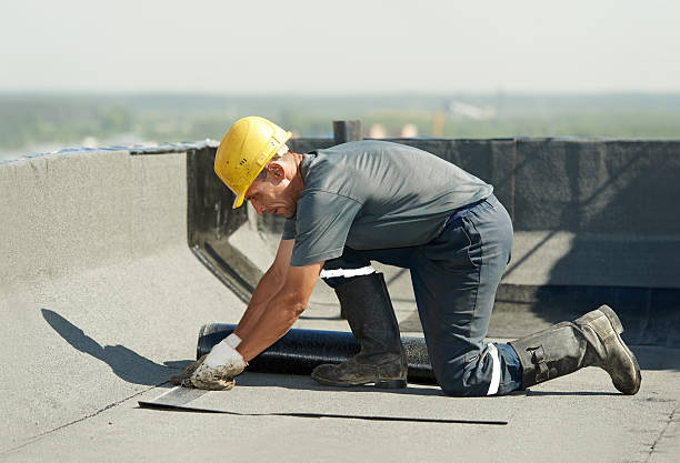 Best Residential Insulation in Sutton Alpine, AK